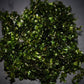 Subwassertang (Tonina fluviatilis) - Superior Shrimp & Aquatics